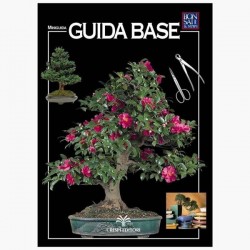 Guida bonsai base