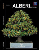 alberi-da-frutto-bonsai