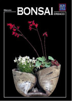 guida bonsai erbacei