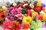 fiori-finti