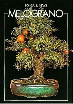guida-bonsai-melograno