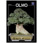 guida-bonsai-olmo