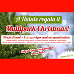 multi pack christmas