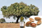 Semi di Argan (Argania Spinosa)