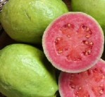 Semi di Guava (Psidium Guajava)