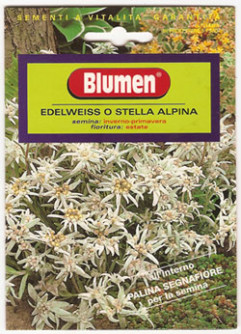Semi di Stella Alpina (Edelweiss)